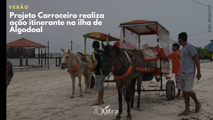 carroceiro