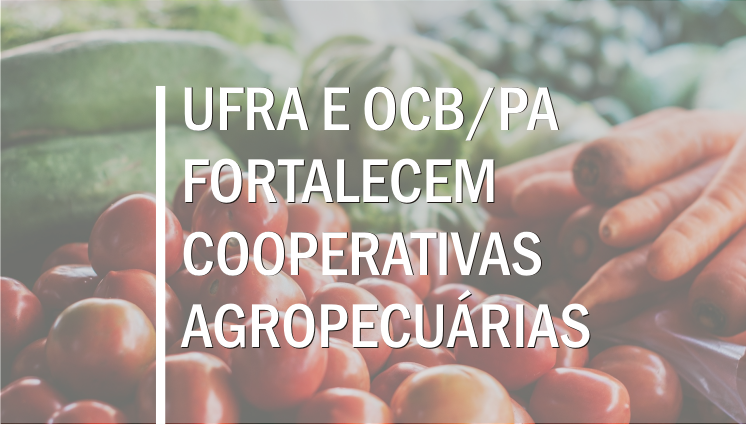 cooperativas slide