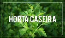 horta