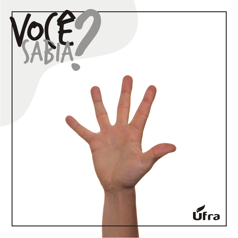 libras2